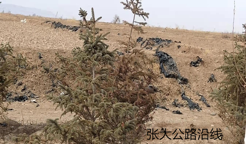 甘州区纪委监委专项督查农村人居环境卫生整治集中攻坚行动