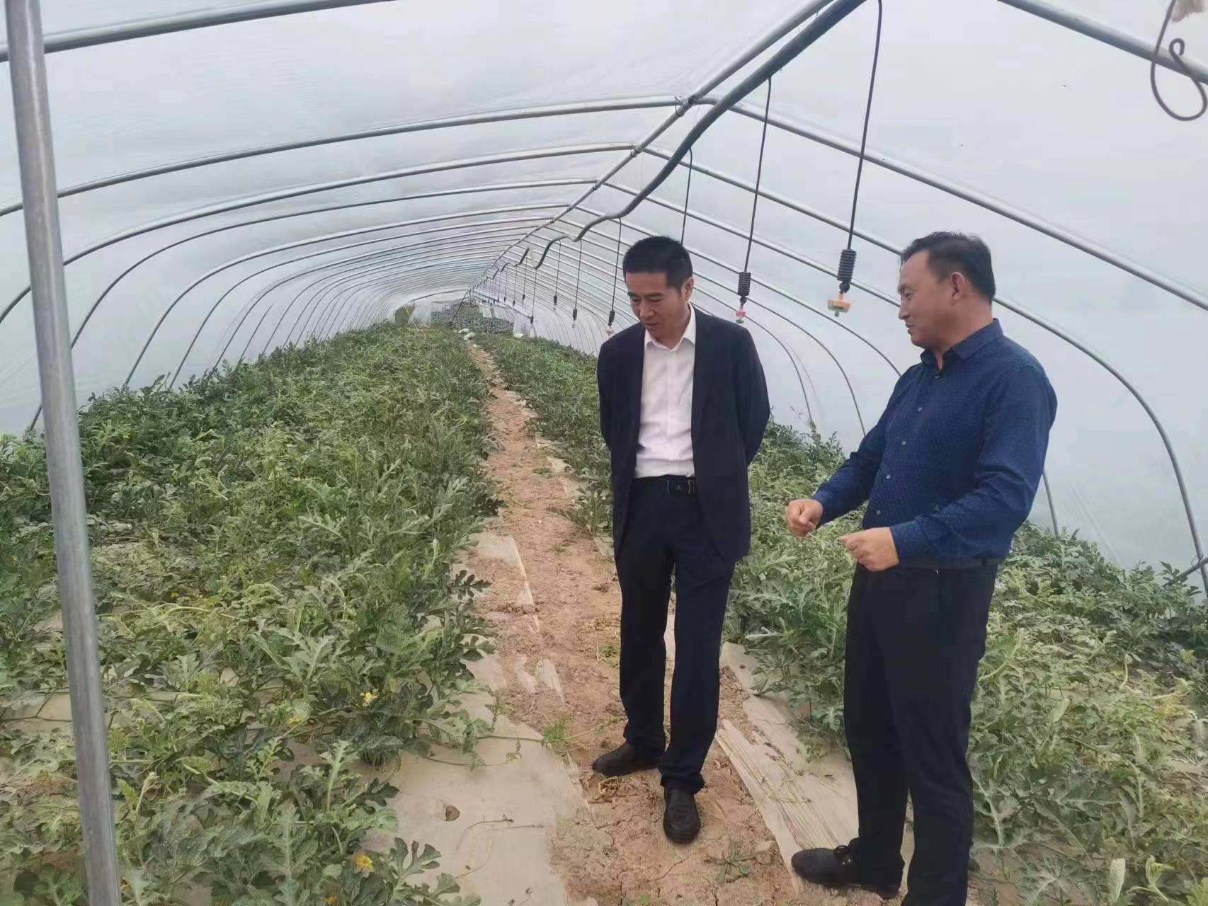 甘州区纪委监委以监督促监管深入开展民生领域专项整治