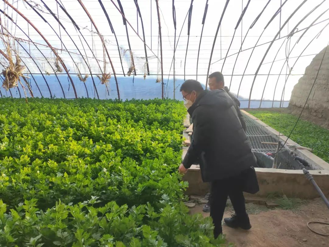 区纪委监委开展千名干部包联千企“访诉求、解难题、促发展”活动专项督查