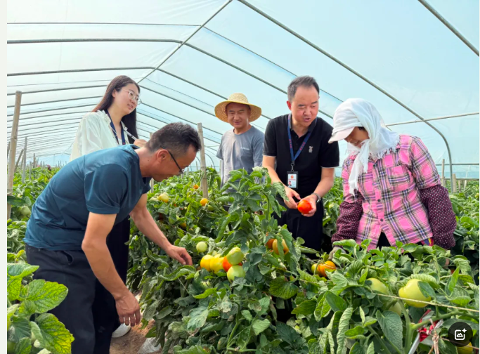 甘州区：监督护航不停步 乡村产业“丰”景浓