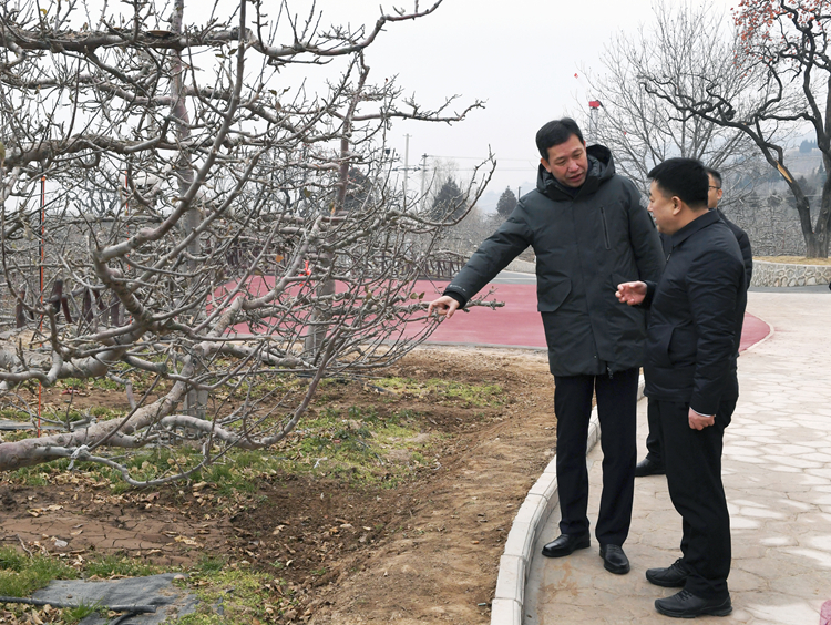 靳国卫在天水定西调研 靳国卫在天水定西调研
