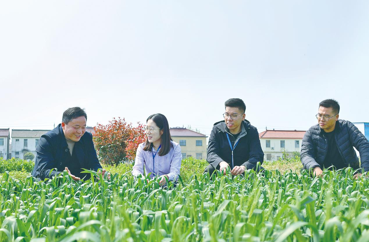 深度关注丨“一份建议”促“一域善治” 深度关注丨“一份建议”促“一域善治”