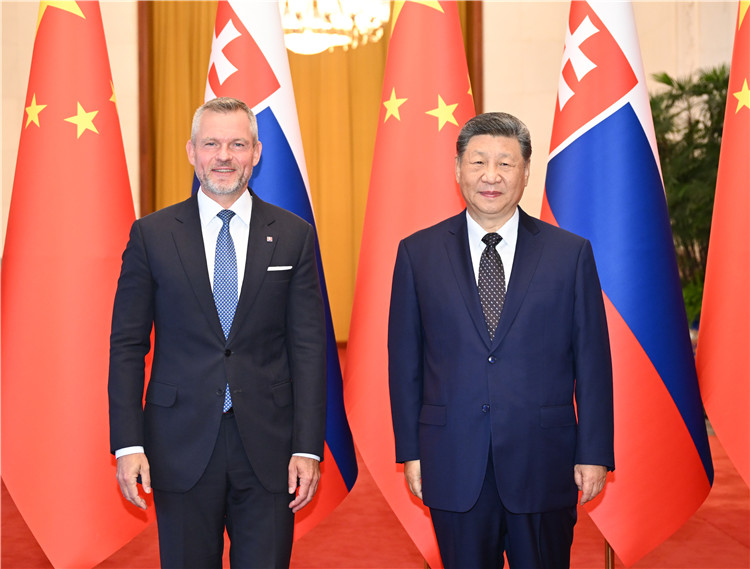 习近平同斯洛伐克总统佩列格里尼会谈 习近平同斯洛伐克总统佩列格里尼会谈